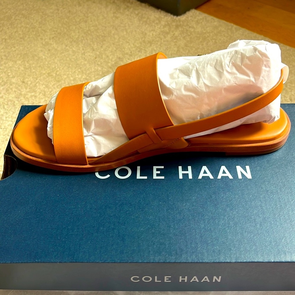 Cole Haan Flynn Flat Sandal sz 7